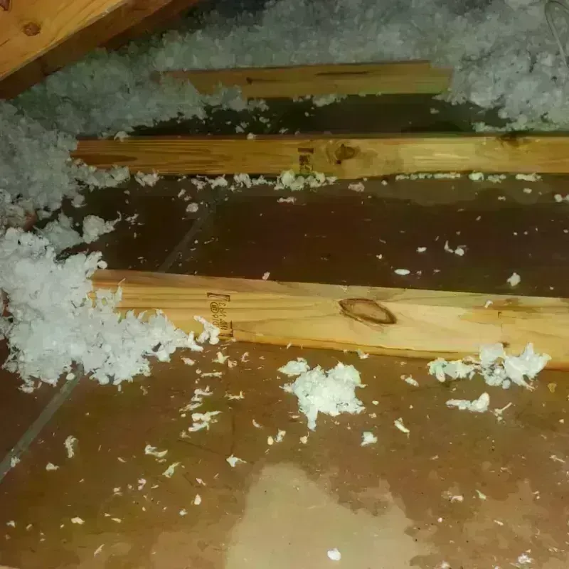 Attic Water Damage in Howland Center, OH