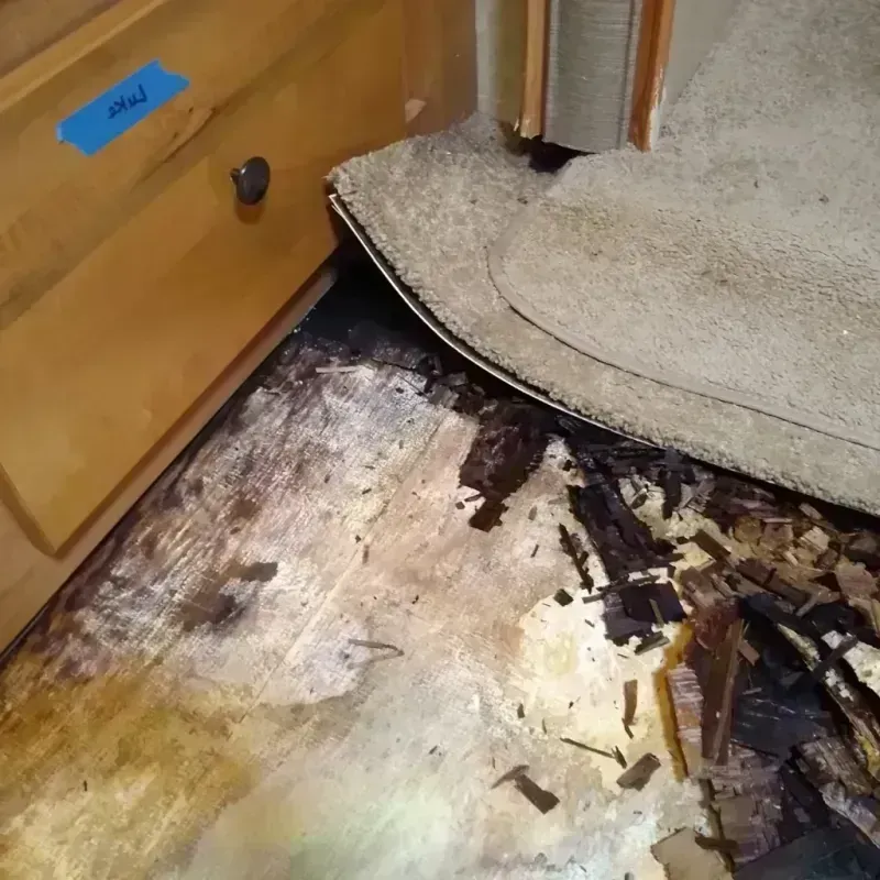 Best Wood Floor Water Damage Service in Howland Center, OH